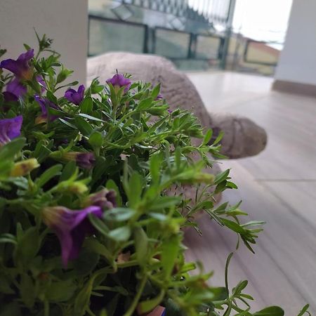 Attico Gloria & Greta Apartment Castellammare del Golfo Luaran gambar