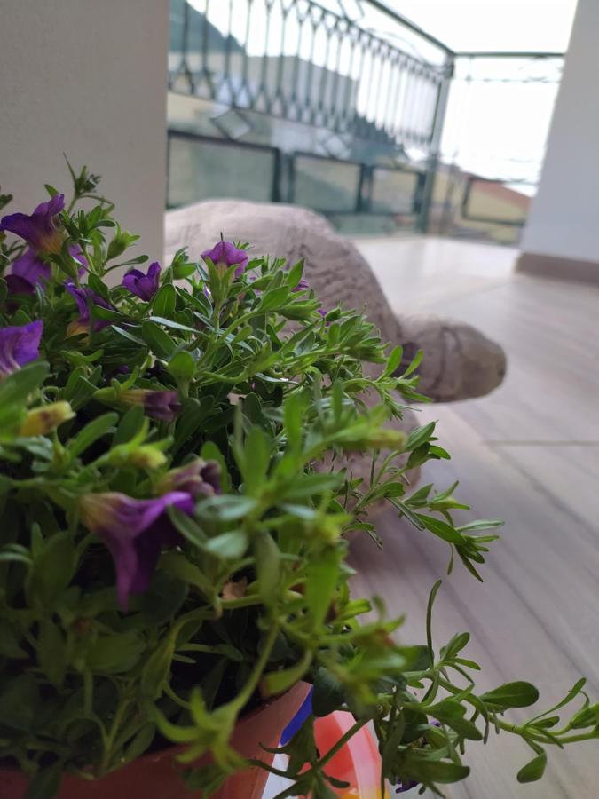 Attico Gloria & Greta Apartment Castellammare del Golfo Luaran gambar